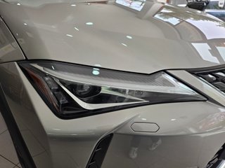 Lexus UX 2.0 250h Business