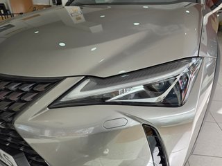 Lexus UX 2.0 250h Business