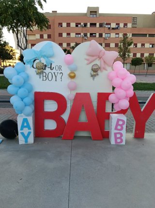Decoración Fiesta Baby Shower