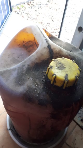Bidón 25L Aceite Oliva Usado