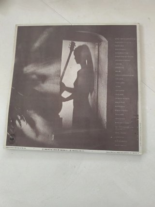 LP Al Di Meola - Splendido Hotel (1980)