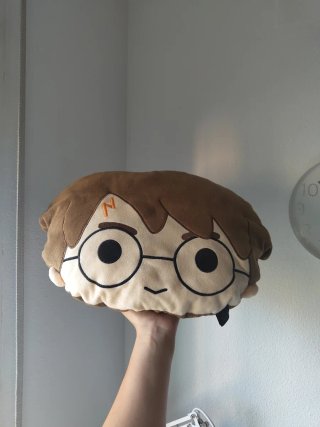 Cojín Harry Potter