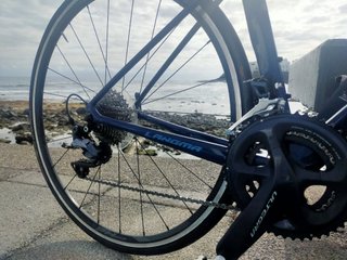 Bicicleta Liv Carbono 2022