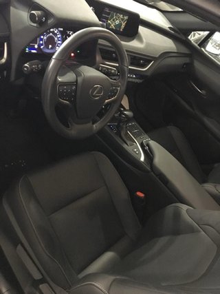 Lexus UX 250 Hybrid 2020