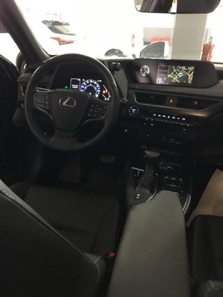Lexus UX 250 Hybrid 2020