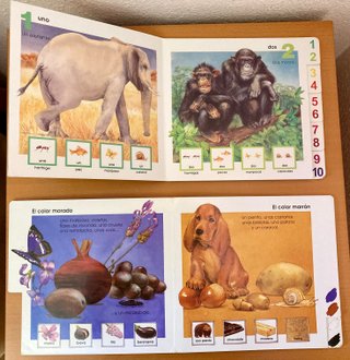 5€ por 4 libros Aprender números, colores, formas