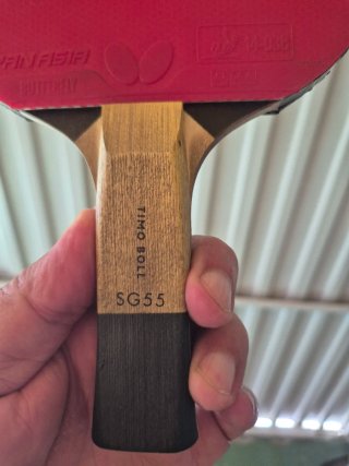 Pala Ping Pong Butterfly Timo Boll SG55
