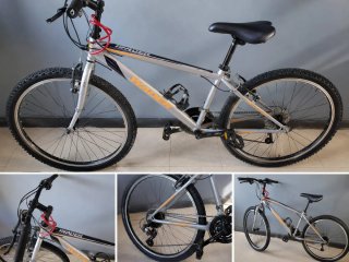 Bicicleta Woder 26 Plata,muy cuidada