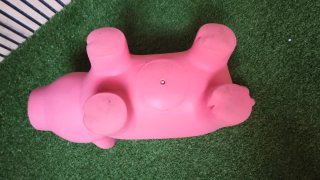 Cerdito hinchable para niños Saltar