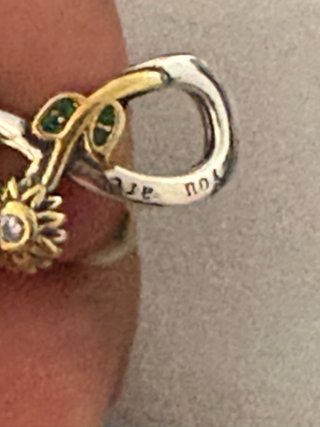 Charm Infinito Platq
