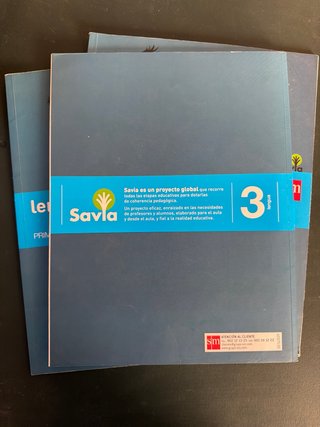 Lengua 3 primaria 3 trimestres