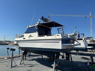 BARCO RODMAN 700