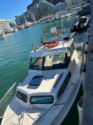 BARCO RODMAN 700