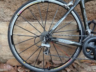 Bicicleta Carretera Orbea Orca 2006