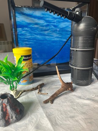 Kit Acuario con Filtro y Accesorios