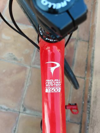 Bicicleta Carretera Pinarello Angliru Carbono T49