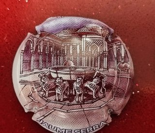 Chapas Cava y Champán Colección