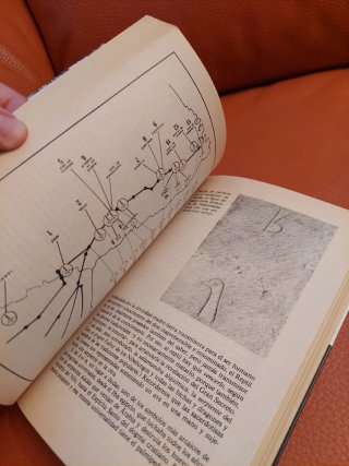 Segunda guia de la España mágica