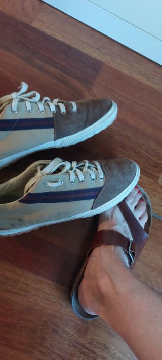 Zapatillas El Ganso Beige y Marrón