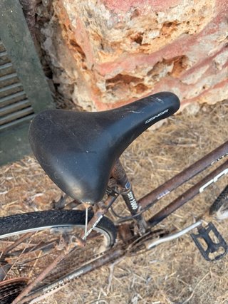 Bicicleta Vintage Conor