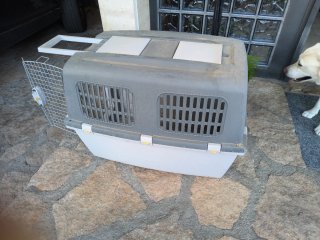 Transportín para perro grande gris y blanco