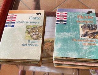 50 Schede Didattiche Animali ABC