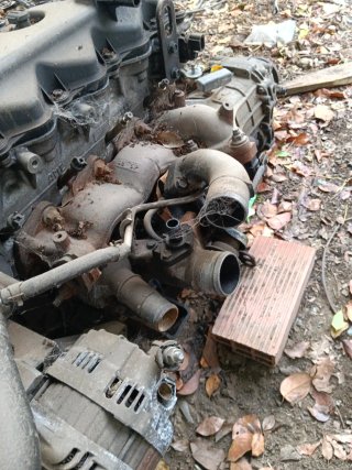 Motor Renault Maxity