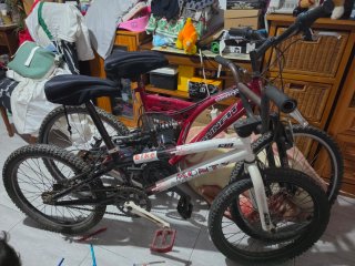 2 Bicicletas Montaña y de saltos con freno