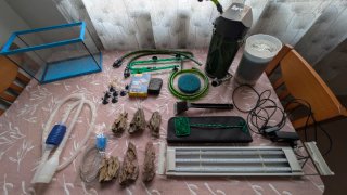 Lote acuario completo