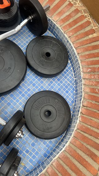Banco de gimnasio y barra