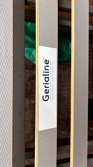 Cama Gerialine Eléctrica Articulada con Barandilla