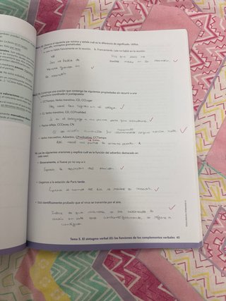 Lengua castellana y literatura 2 bachillerato