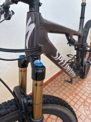 Specialized Epic Evo Pro 2021