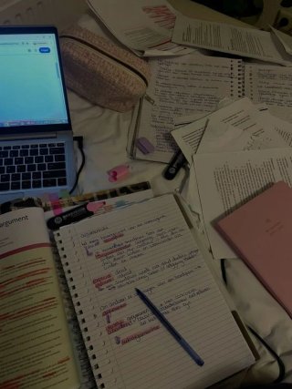 PROFESORA PARTICULAR