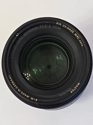 Canon RF 50mm f1.4 VCM