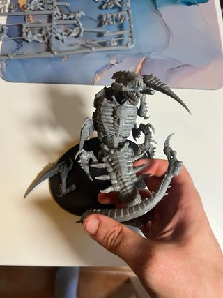 Warhammer + Combat Patrol Tiranidos + Trygon + ext