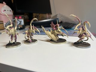 Warhammer + Combat Patrol Tiranidos + Trygon + ext