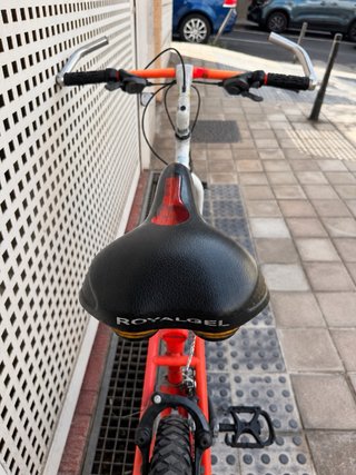 Bicicleta de Montaña