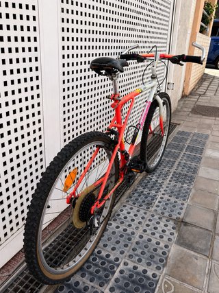 Bicicleta de Montaña