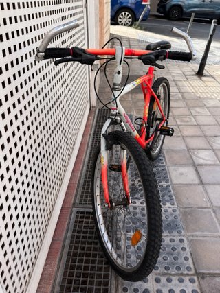 Bicicleta de Montaña