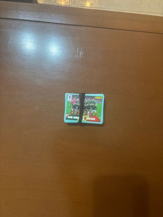 Cromos Panini Mundial