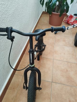 Bicicleta sin pedales para niños