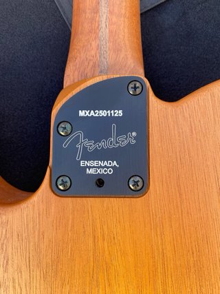 Fender Acoustasonic Guitarra