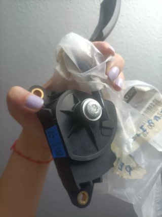 Pedal Acelerador Renault Megane