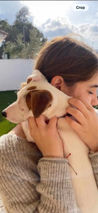 Niñera/Clases particulares/Paseo de perros