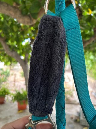 Cabezada de caballo azul turquesa