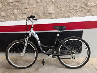Bicicleta Paseo Mujer