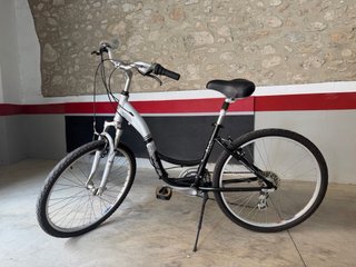 Bicicleta Paseo Mujer