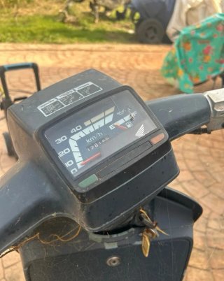 Honda Scoopy 75/50cc Azul/Gris