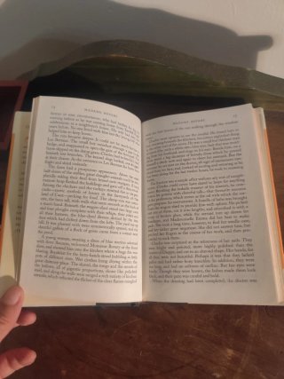 Madame Bovary: Life in a Country Town